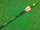 Easton GAMEGETTER XX75 2117 / duralový šíp