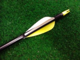 Easton GAMEGETTER XX75 2315 / duralový šíp 