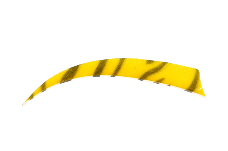 Krocaní letka - pravá (RW) - délka 4" - ZEBRA - žlutá/černá