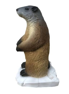 3D terč SRT - Svišť