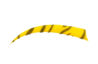 Krocaní letka - pravá (RW) - délka 5" - ZEBRA - žlutá/černá